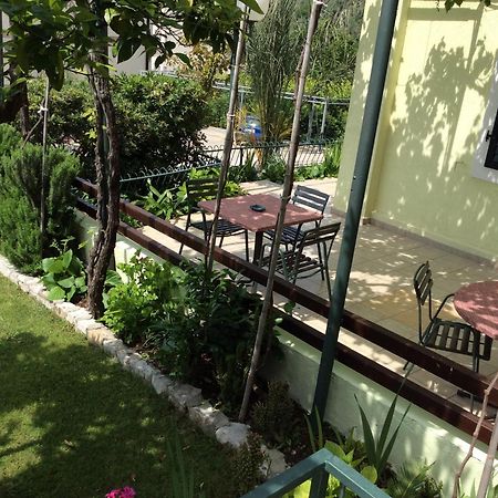 Apartments Simo Petrovac Exterior foto