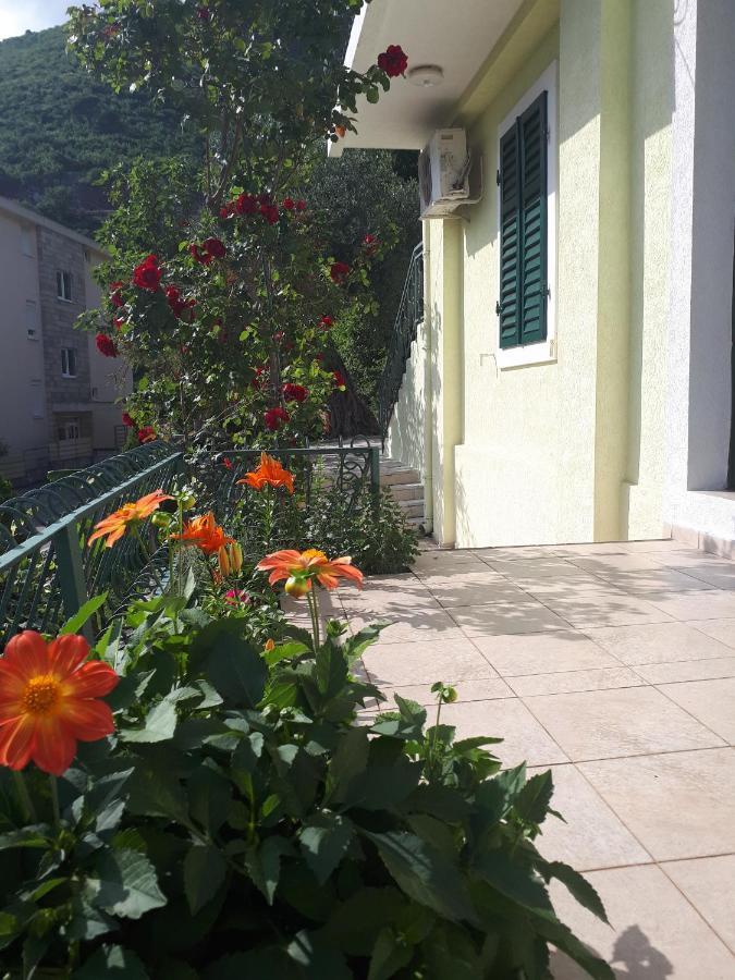 Apartments Simo Petrovac Exterior foto