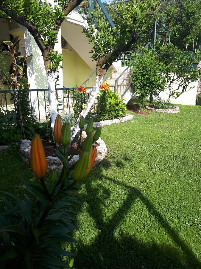 Apartments Simo Petrovac Exterior foto