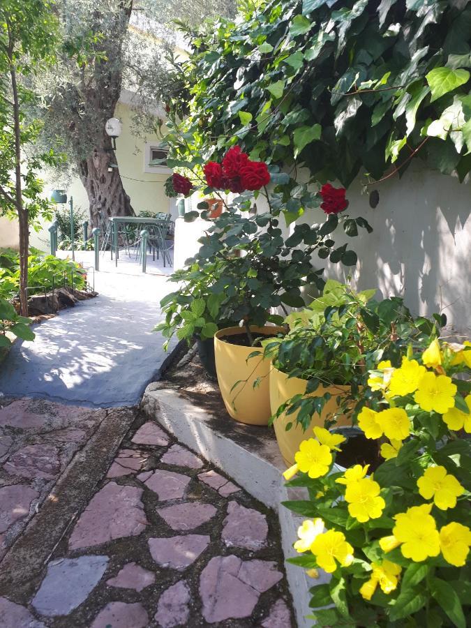 Apartments Simo Petrovac Exterior foto
